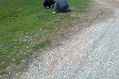 Kırşehir Akpınar Pekmezci Köyü