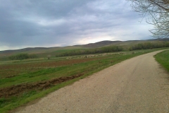 Kırşehir Akpınar Pekmezci Köyü