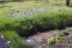 Kırşehir Akpınar Pekmezci Köyü