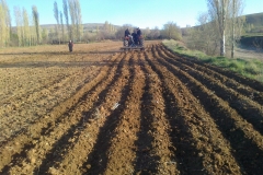 Kırşehir Akpınar Pekmezci Köyü