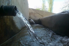 Fotoğraf1129