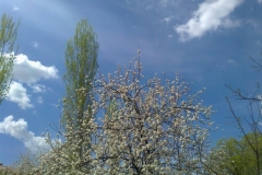 Fotoğraf1130