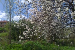 Fotoğraf1132