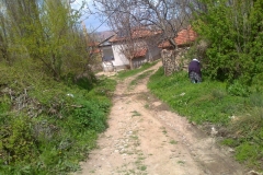 Fotoğraf1133