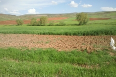 Kırşehir Akpınar Pekmezci Köyü