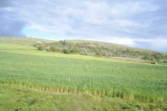 Kırşehir Akpınar Pekmezci Köyü