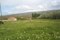 Kırşehir Pekmezci Köyü