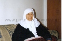 phoca_thumb_l_scannen0002